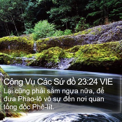 Công Vụ Các Sứ đồ 23:24 VIE Bible Verse Image