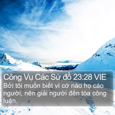Công Vụ Các Sứ đồ 23:28 VIE Bible Verse Image