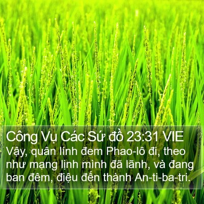 Công Vụ Các Sứ đồ 23:31 VIE Bible Verse Image
