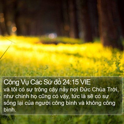 Công Vụ Các Sứ đồ 24:15 VIE Bible Verse Image