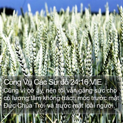 Công Vụ Các Sứ đồ 24:16 VIE Bible Verse Image