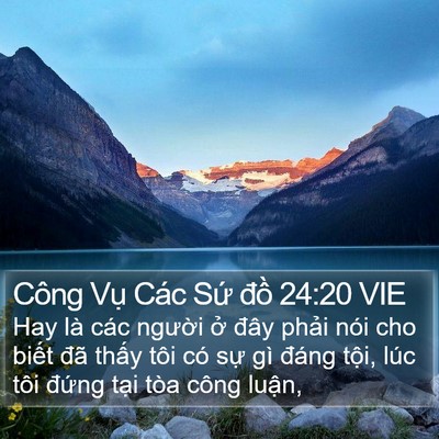 Công Vụ Các Sứ đồ 24:20 VIE Bible Verse Image