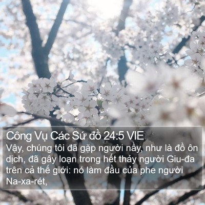Công Vụ Các Sứ đồ 24:5 VIE Bible Verse Image