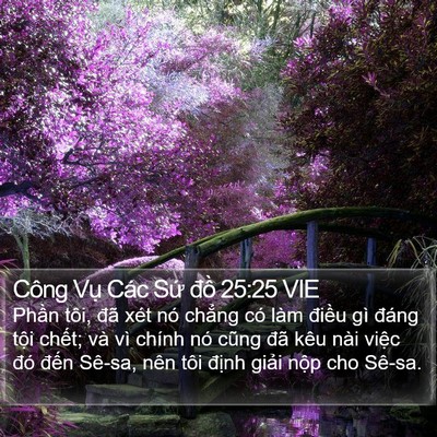 Công Vụ Các Sứ đồ 25:25 VIE Bible Verse Image
