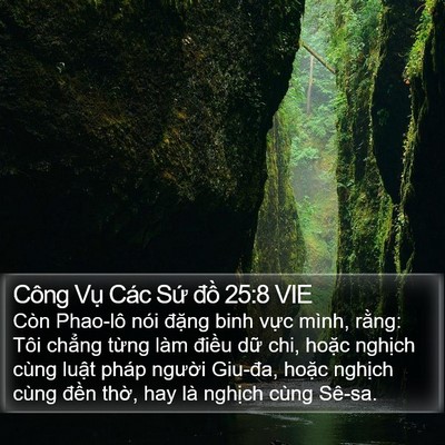 Công Vụ Các Sứ đồ 25:8 VIE Bible Verse Image