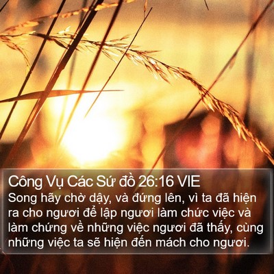 Công Vụ Các Sứ đồ 26:16 VIE Bible Verse Image