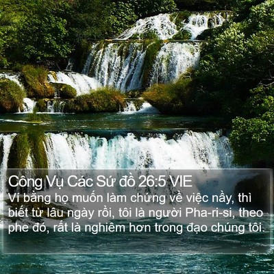Công Vụ Các Sứ đồ 26:5 VIE Bible Verse Image