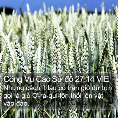 Công Vụ Các Sứ đồ 27:14 VIE Bible Verse Image