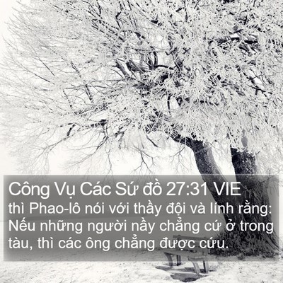 Công Vụ Các Sứ đồ 27:31 VIE Bible Verse Image