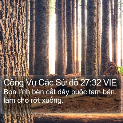 Công Vụ Các Sứ đồ 27:32 VIE Bible Verse Image