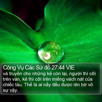 Công Vụ Các Sứ đồ 27:44 VIE Bible Verse Image