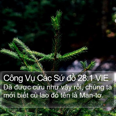 Công Vụ Các Sứ đồ 28:1 VIE Bible Verse Image