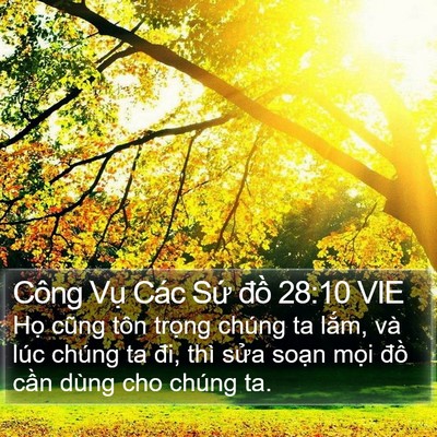 Công Vụ Các Sứ đồ 28:10 VIE Bible Verse Image