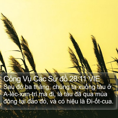Công Vụ Các Sứ đồ 28:11 VIE Bible Verse Image