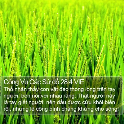 Công Vụ Các Sứ đồ 28:4 VIE Bible Verse Image