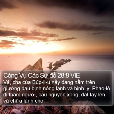 Công Vụ Các Sứ đồ 28:8 VIE Bible Verse Image