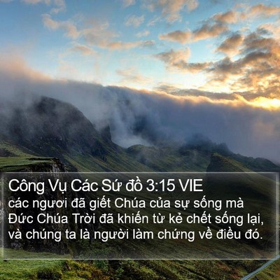 Công Vụ Các Sứ đồ 3:15 VIE Bible Verse Image
