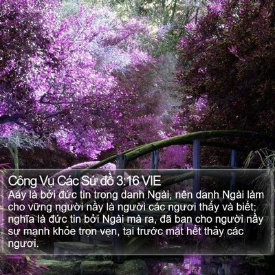 Công Vụ Các Sứ đồ 3:16 VIE Bible Verse Image