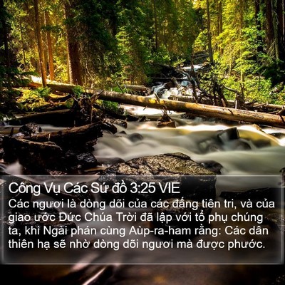 Công Vụ Các Sứ đồ 3:25 VIE Bible Verse Image