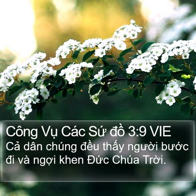 Công Vụ Các Sứ đồ 3:9 VIE Bible Verse Image