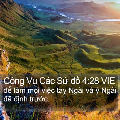 Công Vụ Các Sứ đồ 4:28 VIE Bible Verse Image