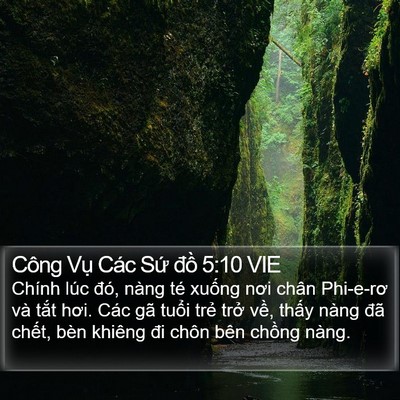 Công Vụ Các Sứ đồ 5:10 VIE Bible Verse Image