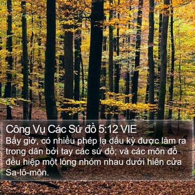 Công Vụ Các Sứ đồ 5:12 VIE Bible Verse Image