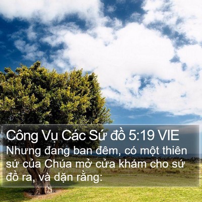 Công Vụ Các Sứ đồ 5:19 VIE Bible Verse Image