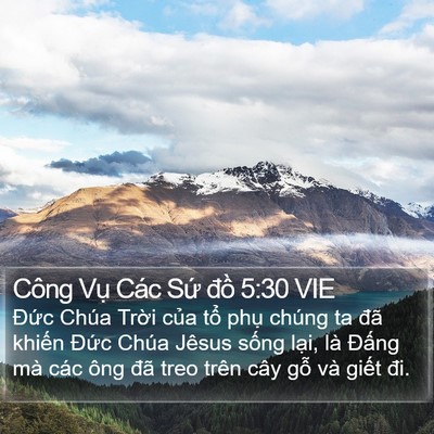 Công Vụ Các Sứ đồ 5:30 VIE Bible Verse Image