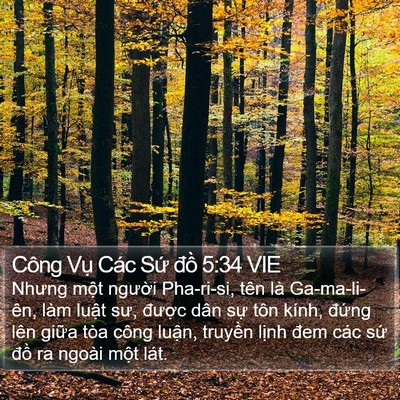 Công Vụ Các Sứ đồ 5:34 VIE Bible Verse Image