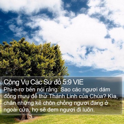 Công Vụ Các Sứ đồ 5:9 VIE Bible Verse Image