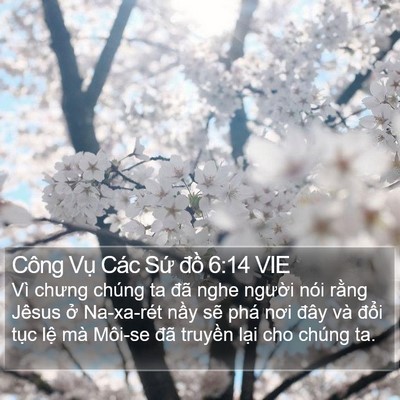 Công Vụ Các Sứ đồ 6:14 VIE Bible Verse Image