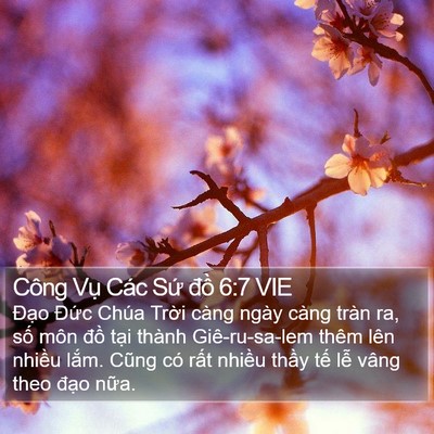 Công Vụ Các Sứ đồ 6:7 VIE Bible Verse Image