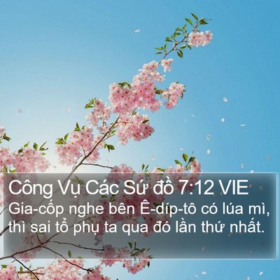 Công Vụ Các Sứ đồ 7:12 VIE Bible Verse Image
