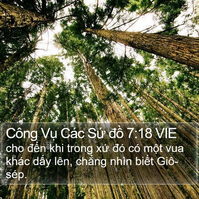 Công Vụ Các Sứ đồ 7:18 VIE Bible Verse Image