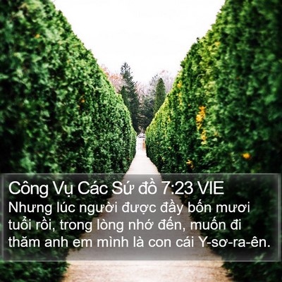 Công Vụ Các Sứ đồ 7:23 VIE Bible Verse Image