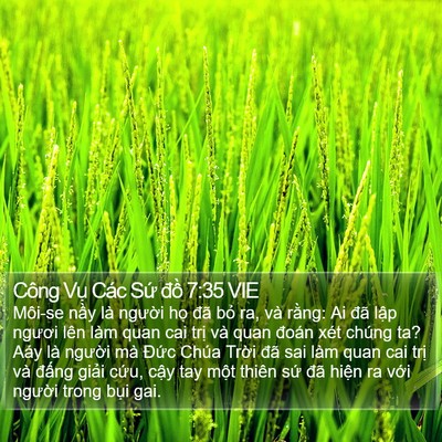 Công Vụ Các Sứ đồ 7:35 VIE Bible Verse Image