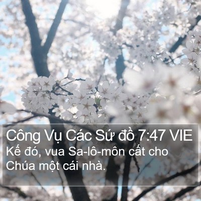 Công Vụ Các Sứ đồ 7:47 VIE Bible Verse Image