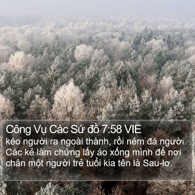 Công Vụ Các Sứ đồ 7:58 VIE Bible Verse Image