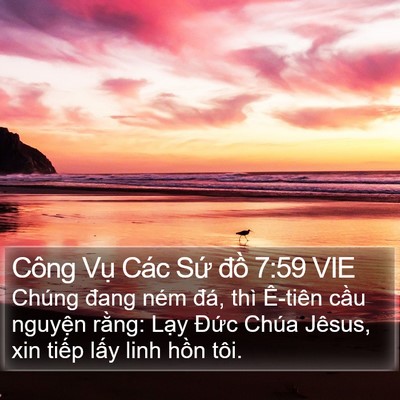 Công Vụ Các Sứ đồ 7:59 VIE Bible Verse Image