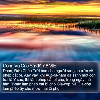 Công Vụ Các Sứ đồ 7:8 VIE Bible Verse Image