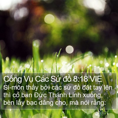Công Vụ Các Sứ đồ 8:18 VIE Bible Verse Image