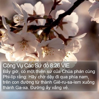 Công Vụ Các Sứ đồ 8:26 VIE Bible Verse Image