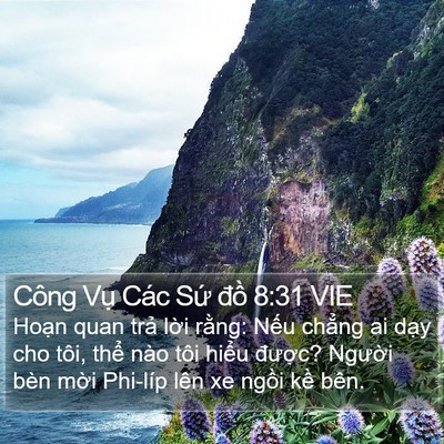 Công Vụ Các Sứ đồ 8:31 VIE Bible Verse Image