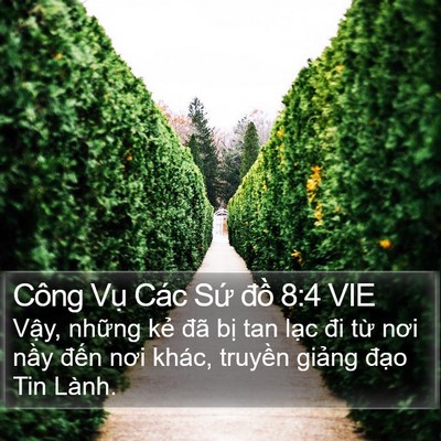 Công Vụ Các Sứ đồ 8:4 VIE Bible Verse Image