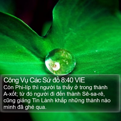 Công Vụ Các Sứ đồ 8:40 VIE Bible Verse Image
