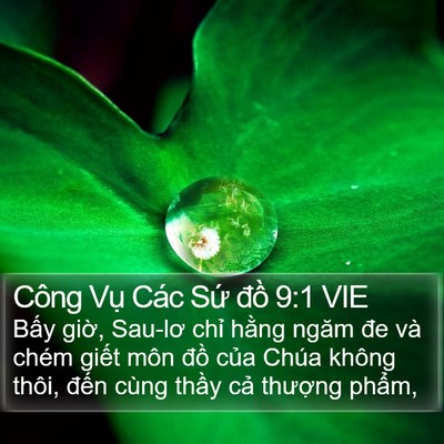Công Vụ Các Sứ đồ 9:1 VIE Bible Verse Image
