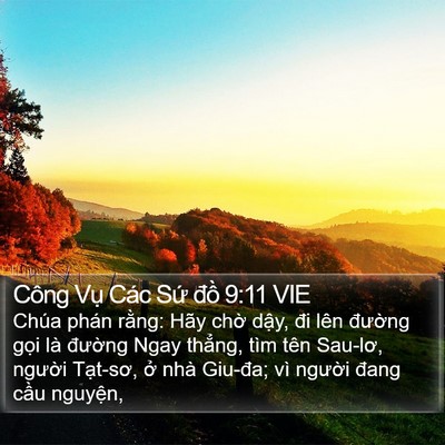 Công Vụ Các Sứ đồ 9:11 VIE Bible Verse Image