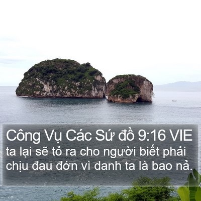 Công Vụ Các Sứ đồ 9:16 VIE Bible Verse Image