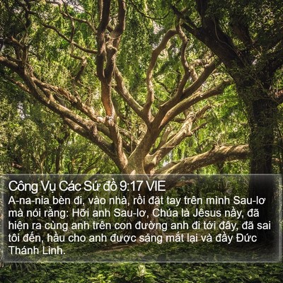 Công Vụ Các Sứ đồ 9:17 VIE Bible Verse Image